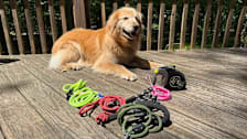 Best Dog Leashes