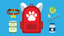 Red backpack with paw icon surrounded by a tennis ball, pet collar, pet medications, pet food, and fish cat toy