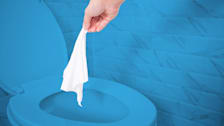 detail of hand dropping flushable wipe into toilet, background and toilet tinted blue