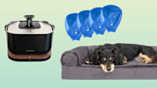 Petlibro water fountain, FurHaven dog bed, Pawz rubber boots