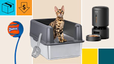 WoofiGo Stainless Steel Cat Litter Box, PetLibro Granary Smart Feeder, and Chuckit Classic 26M Dog Ball Launcher with a cyan block with a package icon, and an orange block with a dollar sign in a down arrow