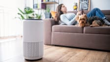 Woman on couch relaxing reading tablet with dog and air purifier on the floor