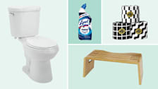 Glacier Bay toilet, Lysol toilet bowl cleaner, Who Gives a Crap toilet paper, Squatty Potty stool