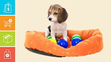 Dog on bed with balls and with icons show a price tag, shopping cart, shipping box, and discount bag.