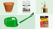 Clockwise from top left: Pennington Terra Cotta Clay Pot, 10", Dyna-Gro Foliage-Pro Fertilizer, Haws Brass Plant Mister, Summit Mosquito Bits Larvae Control Granules, and Ebristar Watering Pot