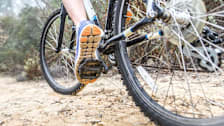 Bike Buying Guide