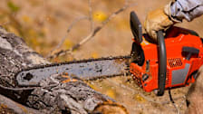 How to Choose a Chainsaw