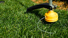String Trimmer Buying Guide