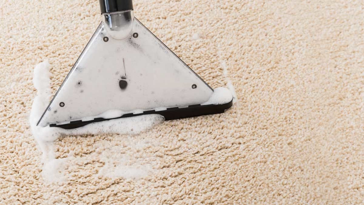 Best Carpet Cleaner Buying Guide Consumer Reports
