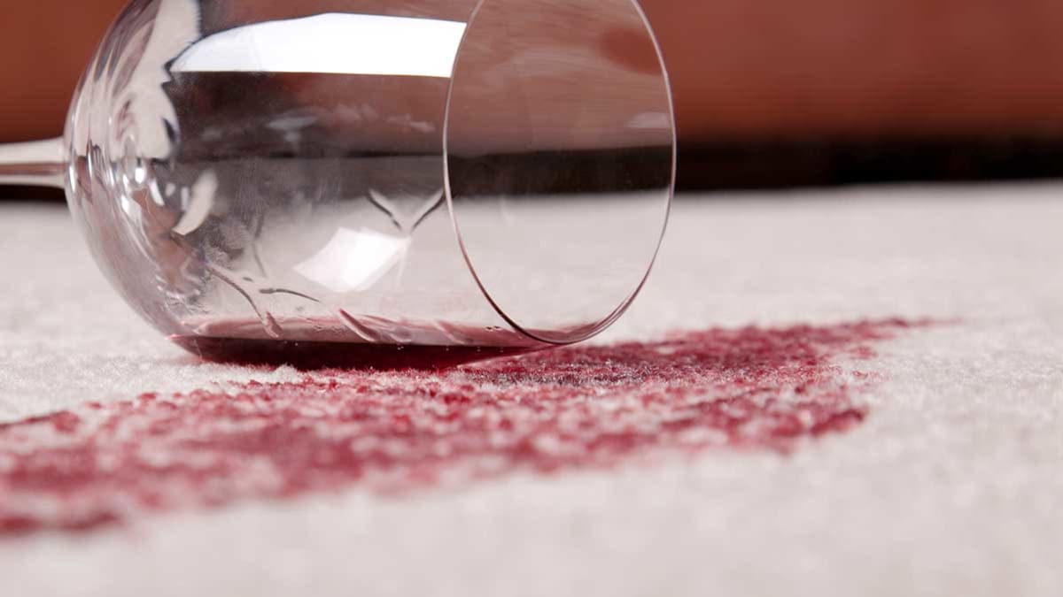 Best Carpet Stain Remover Buying Guide Consumer Reports