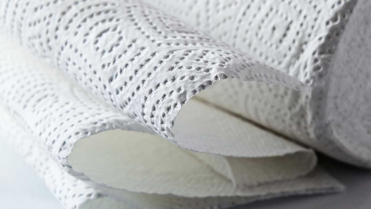 Best Paper Towel Buying Guide Consumer Reports