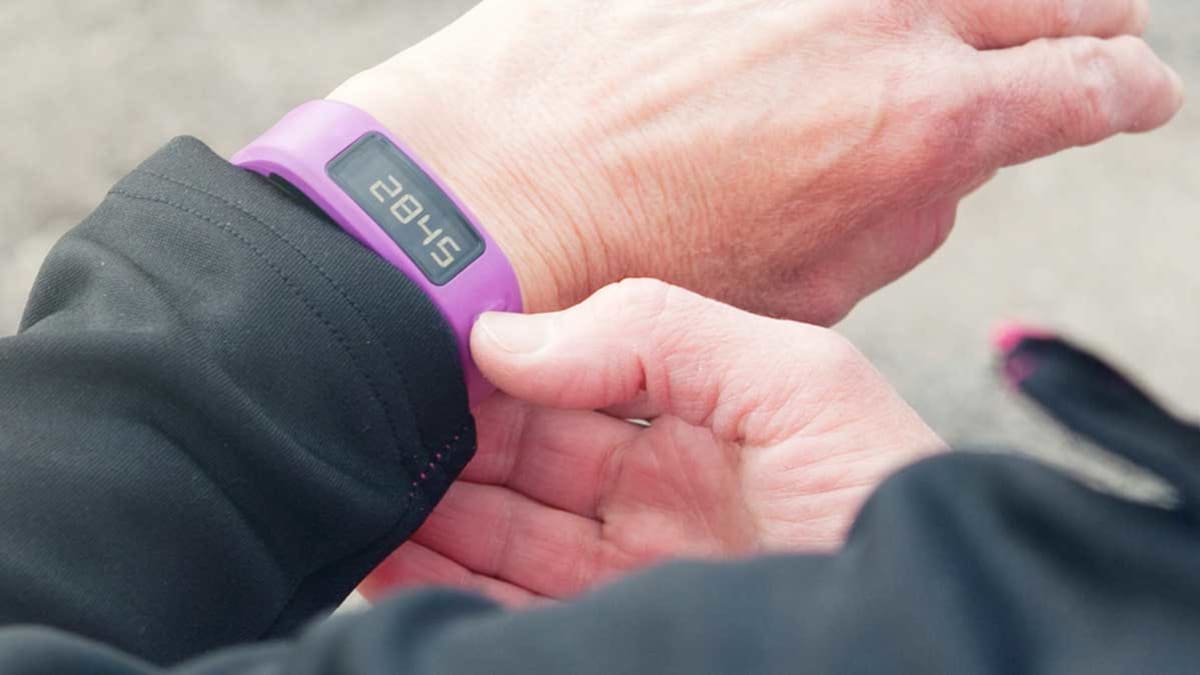 Best Pedometers Buying Guide Consumer Reports