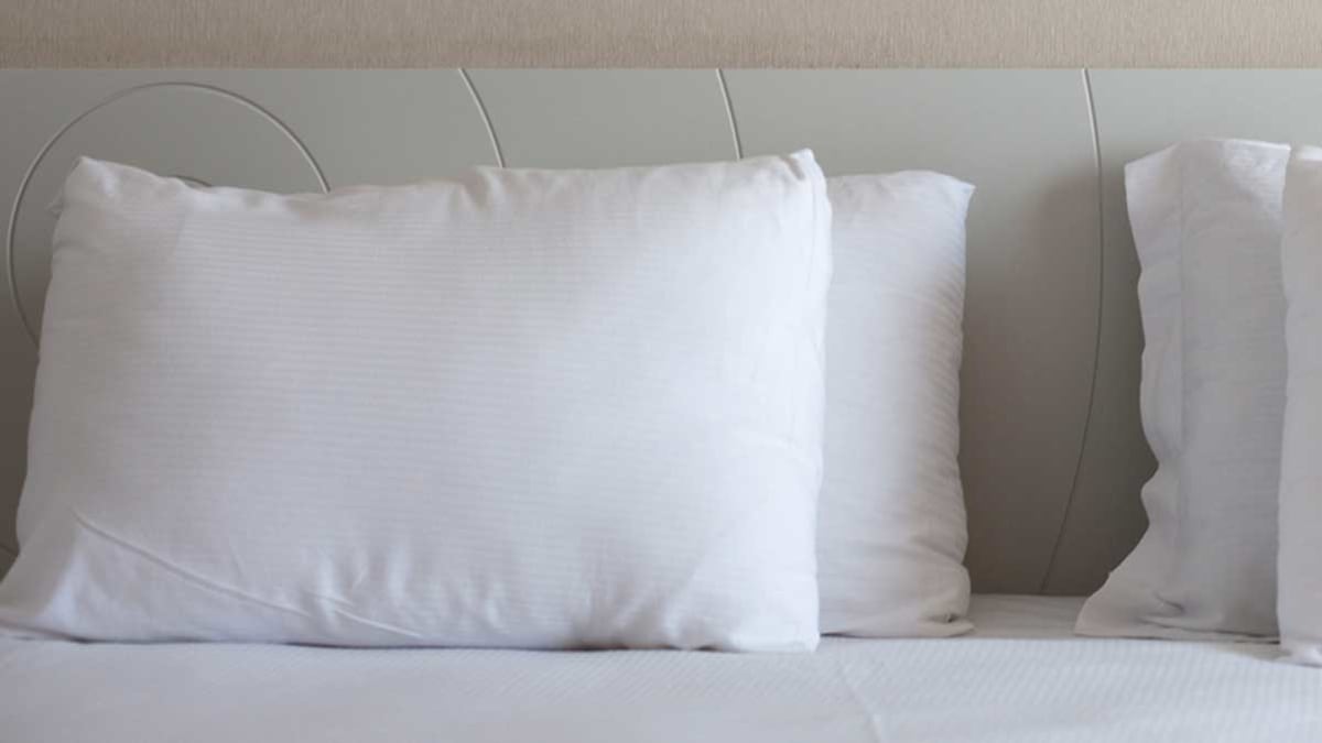 Best Pillow Buying Guide Consumer Reports