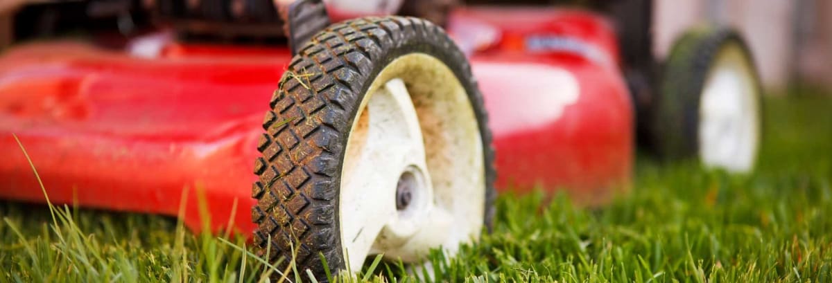 Mowing the grass.