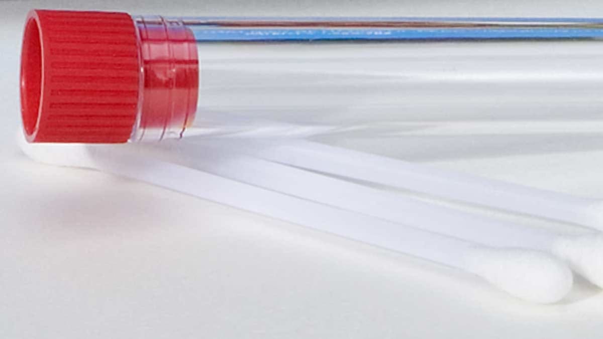 Best Lead Test Kit Buying Guide Consumer Reports