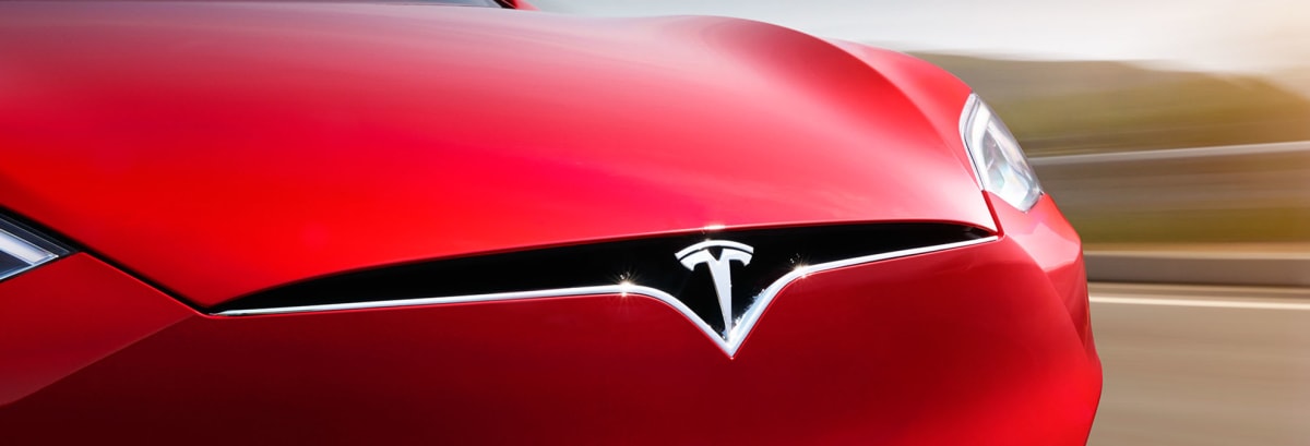 Tesla Model S grille