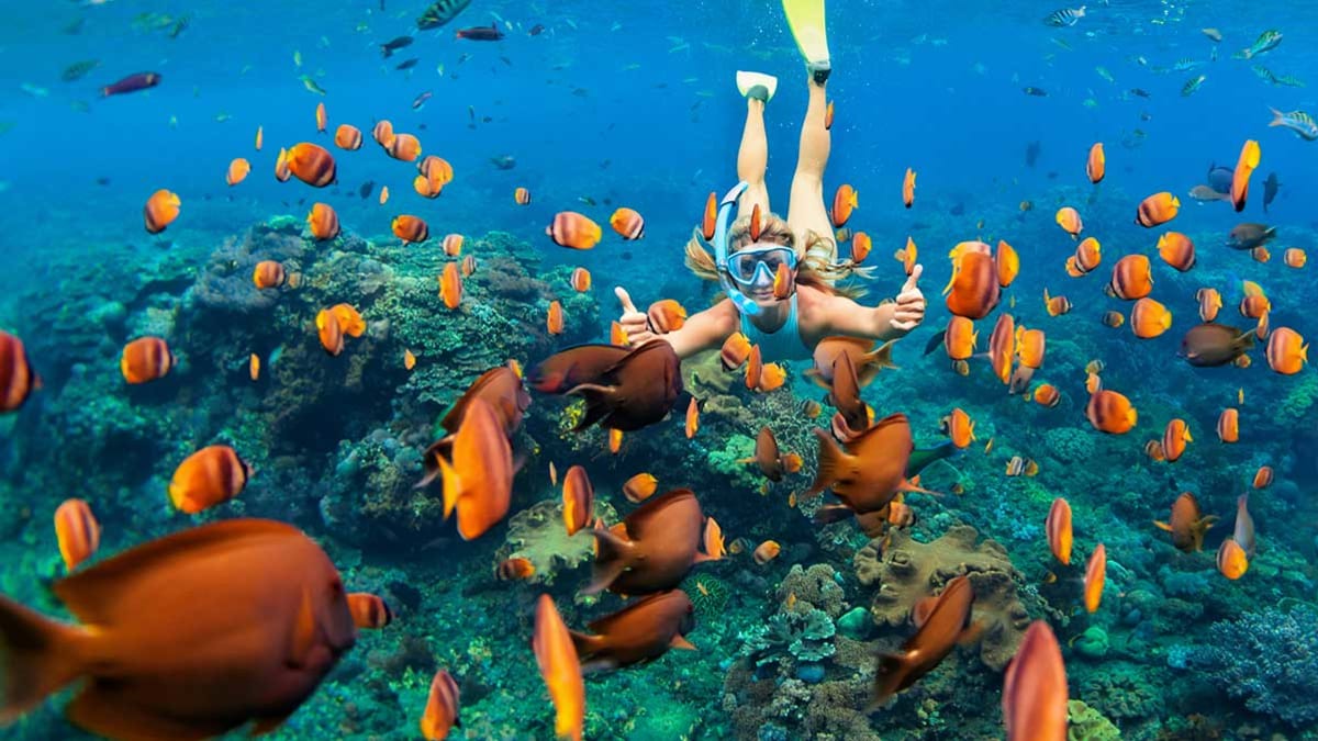 Woman Swimming with reef fish