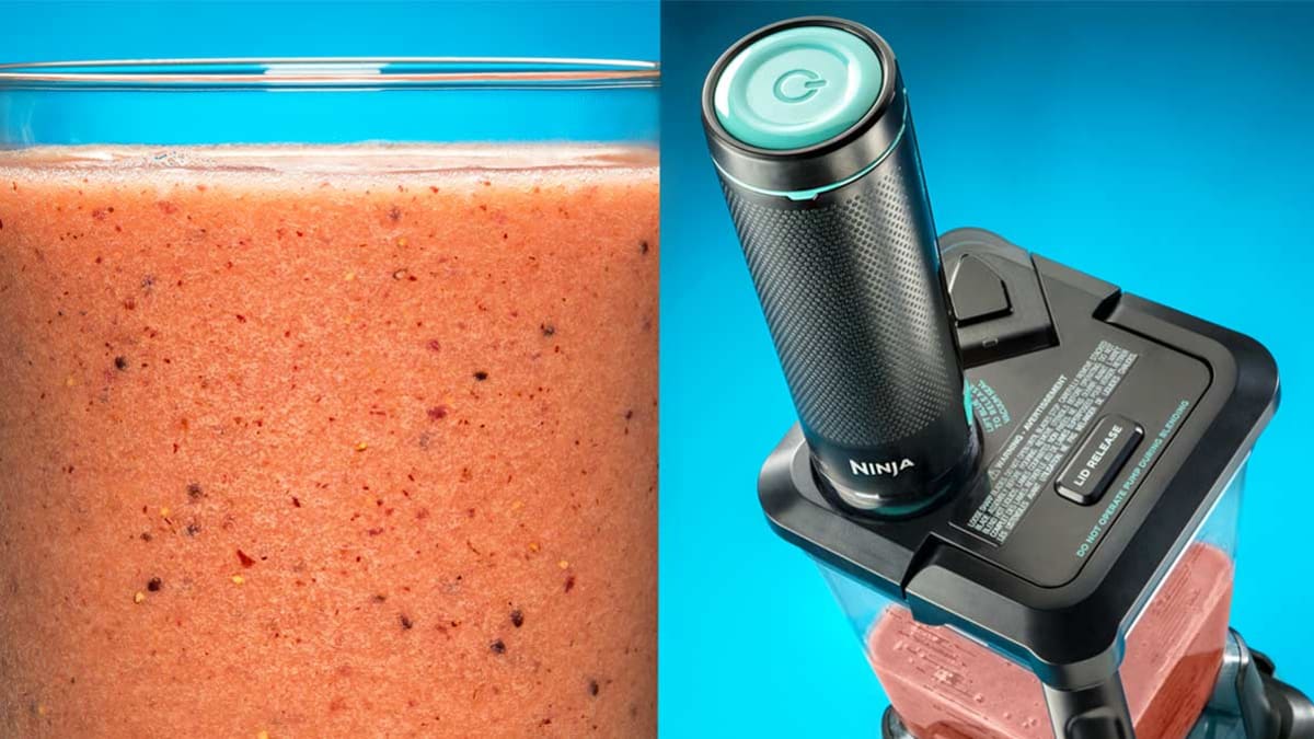 Ninja Fresh Vac Blender