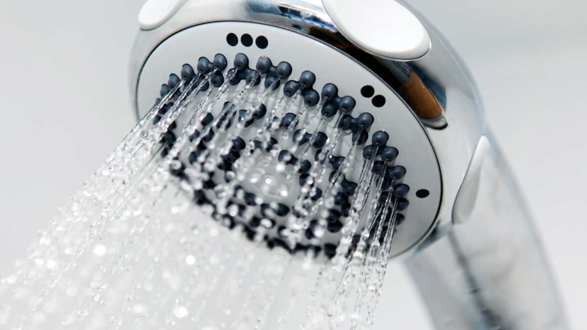 Best Showerhead Buying Guide Consumer Reports