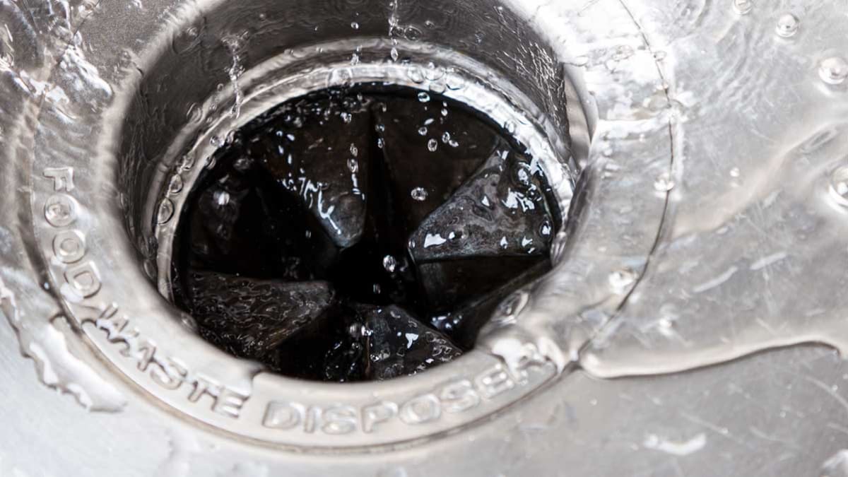 Best Garbage Disposal Buying Guide Consumer Reports