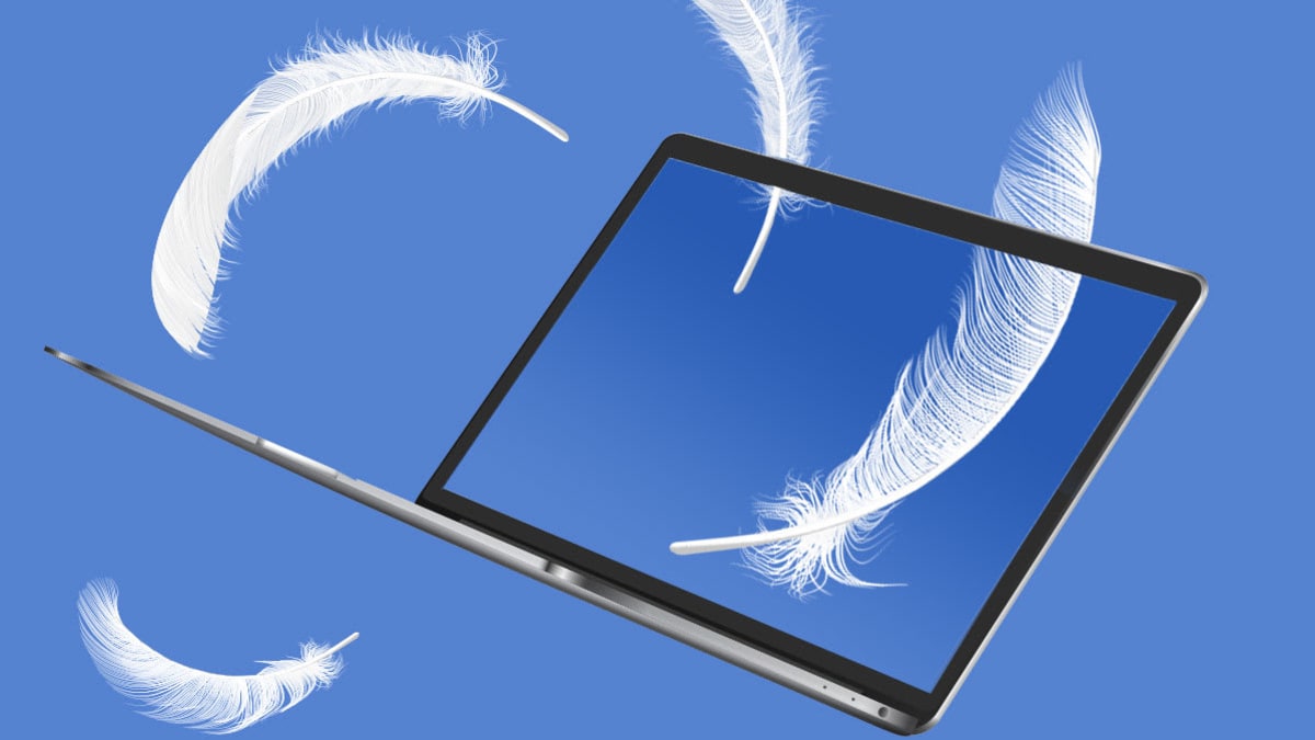 feathers and laptop