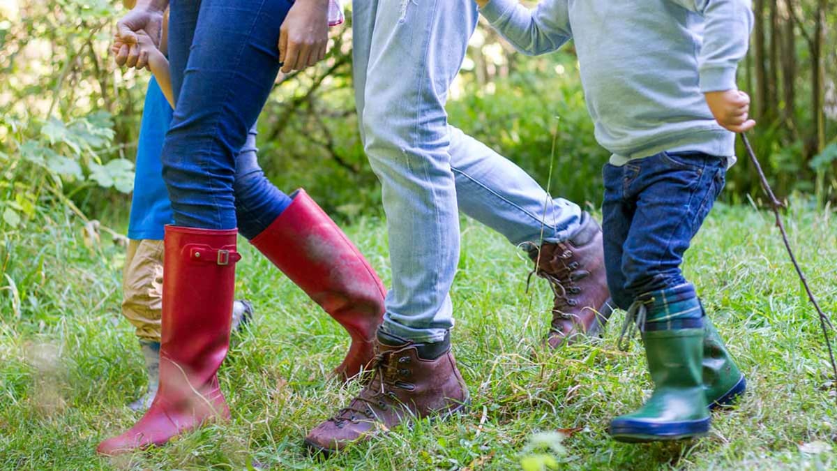 people walking in the woods