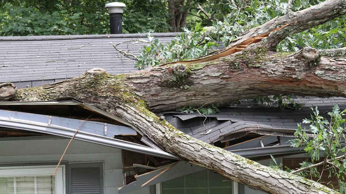 Storm damage