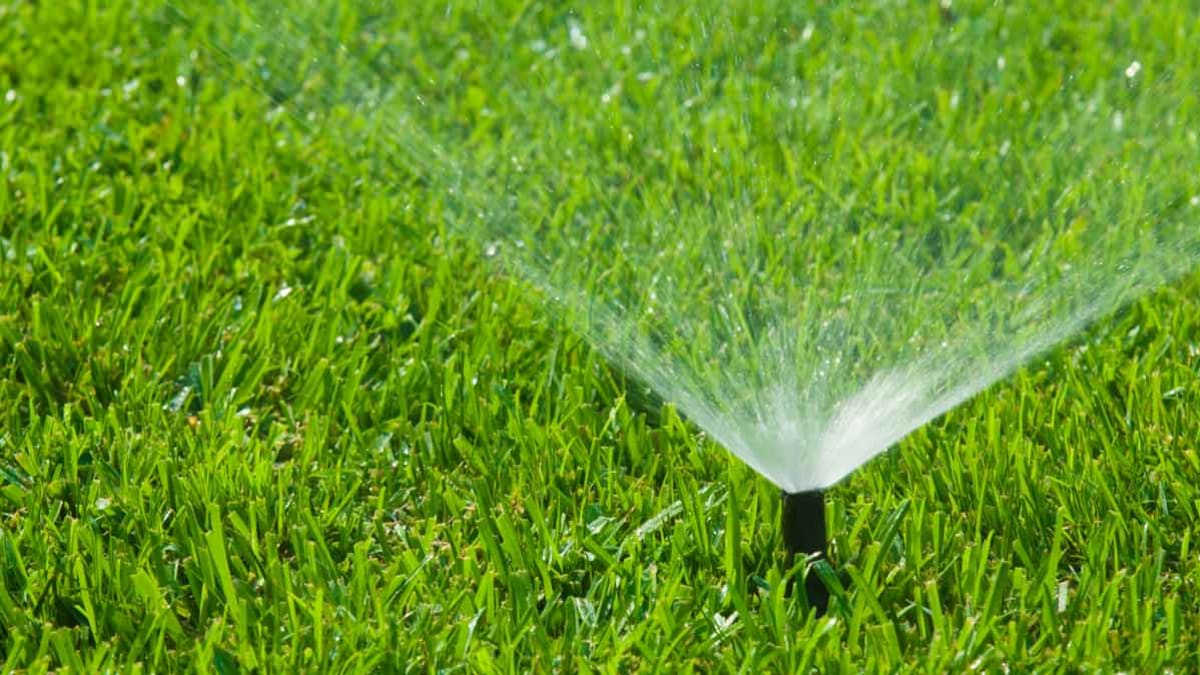 sprinkler watering lawn
