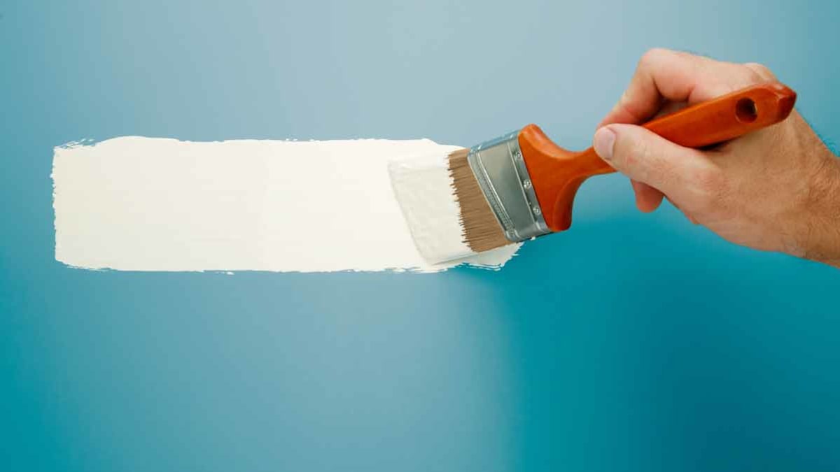 hand holding paint brush, painting wall