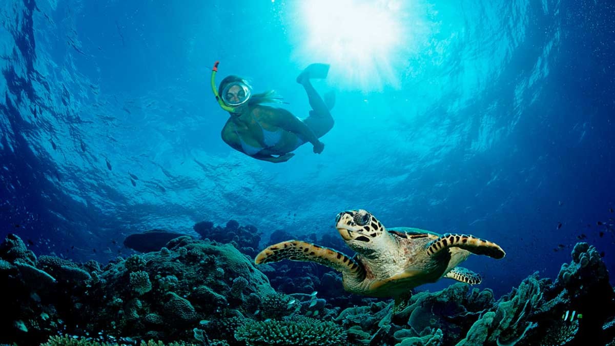 Person swimming underwater with coral reef