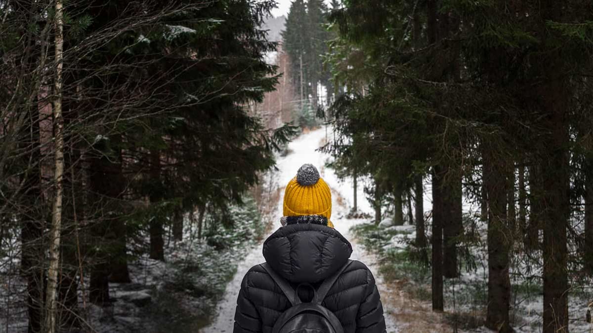 walking in winter woods