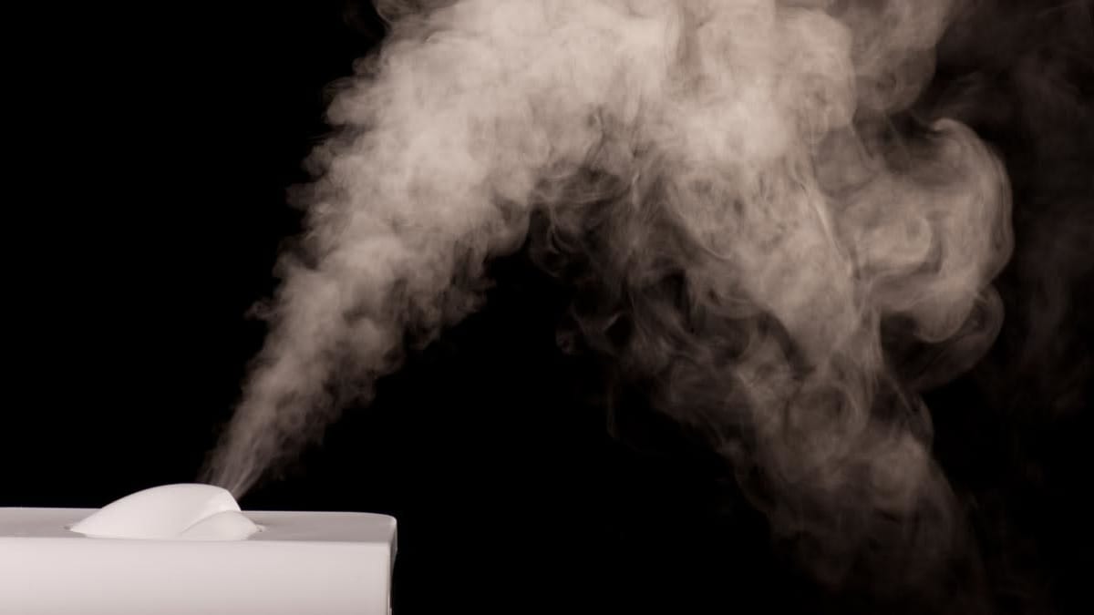 Should You Use a Humidifier to Prevent COVID19 or Flu? Consumer Reports