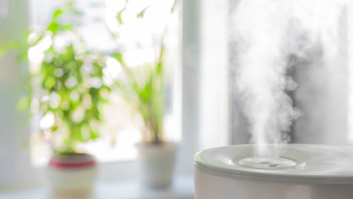 Find the RightSized Humidifier for Any Room Consumer Reports