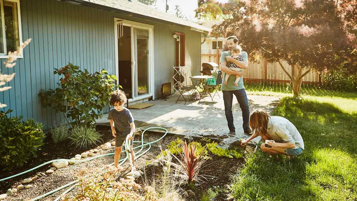 landscaping