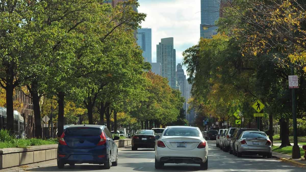 cars driving on city street with trees on either side and buildings in background through trees