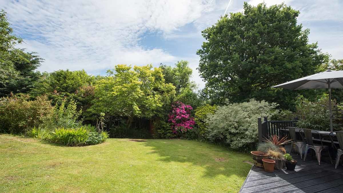 summer lawn