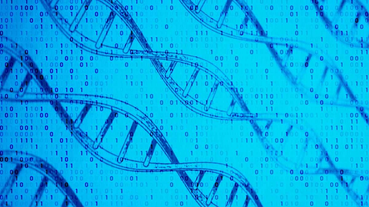 dna data