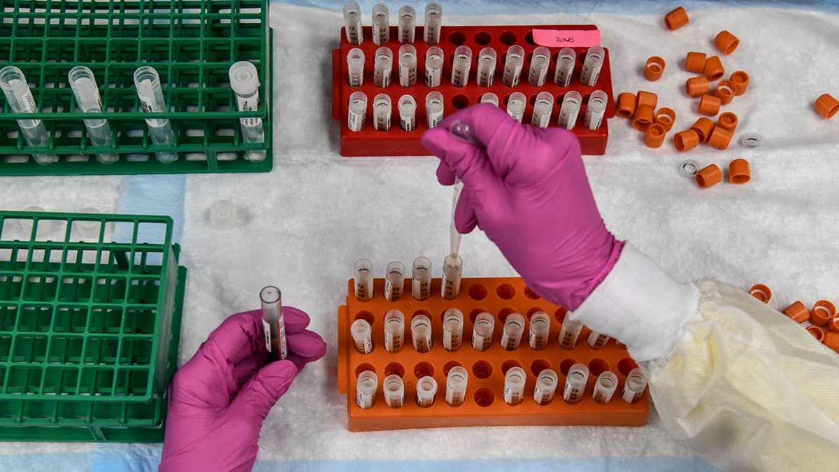 A lab technician sorts blood samples for COVID-19 vaccination study at the Research Centers of America in Hollywood, Florida on August 13, 2020.