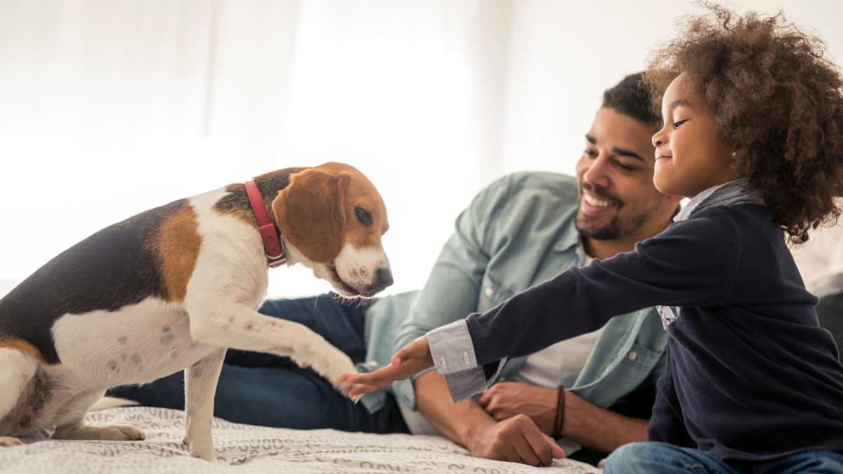 parent and child playing with dog