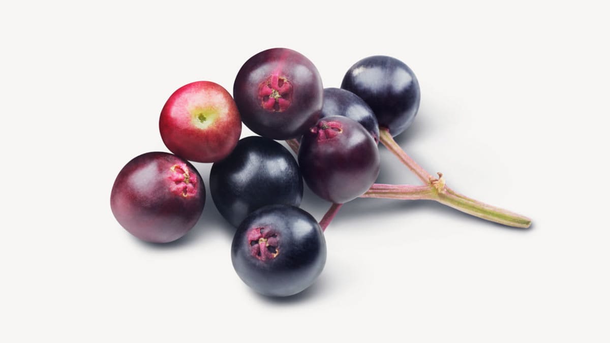 elderberries