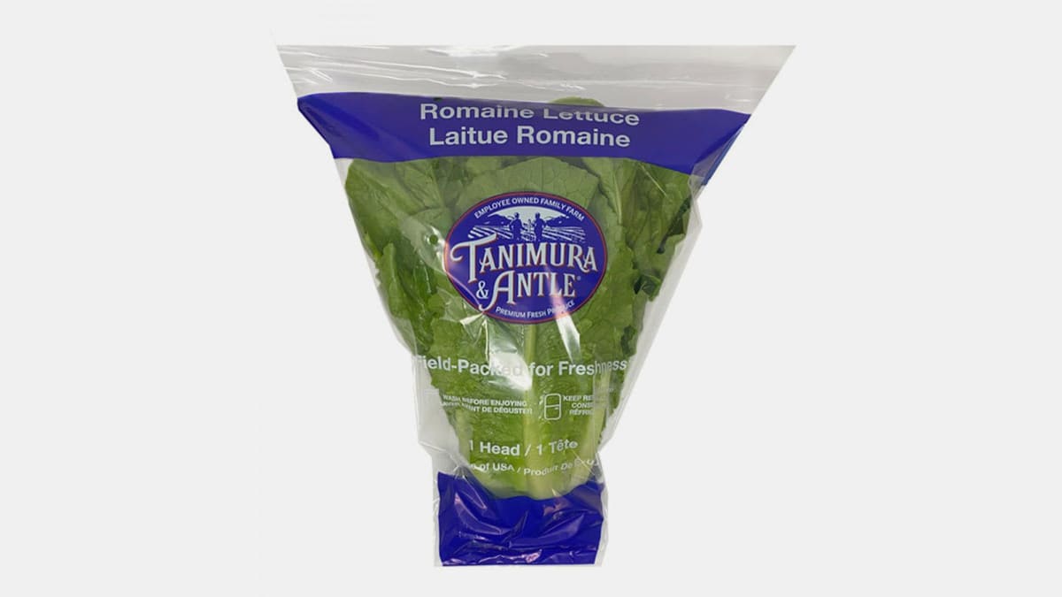 romaine