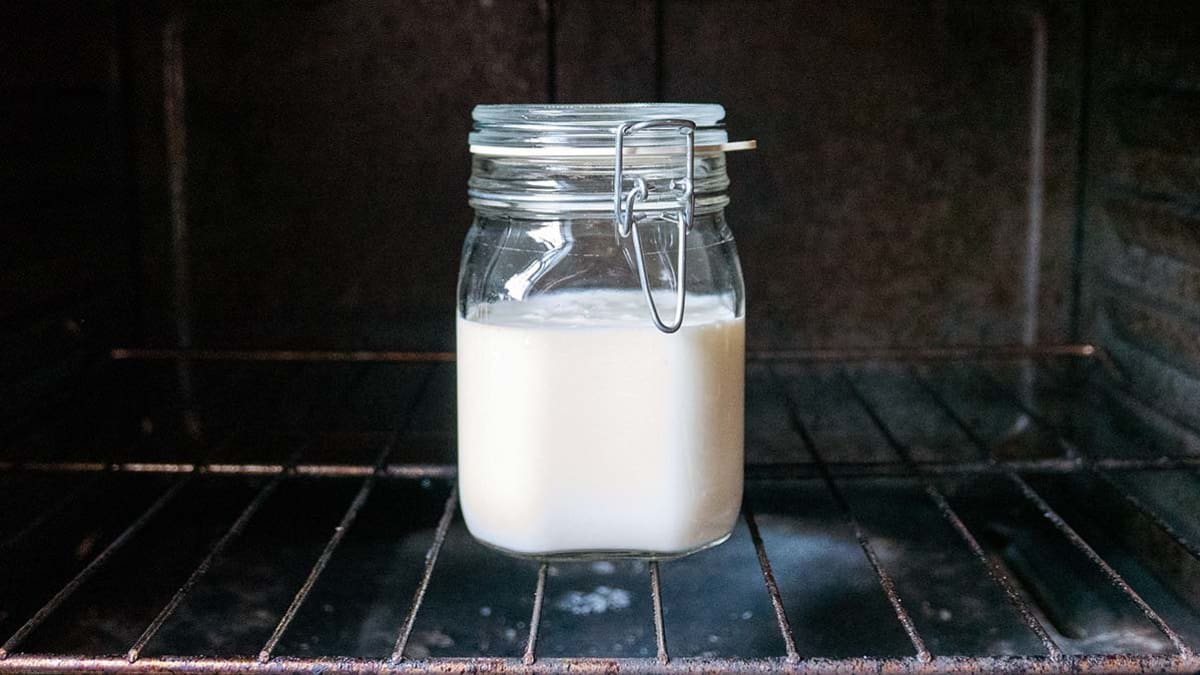 yogurt