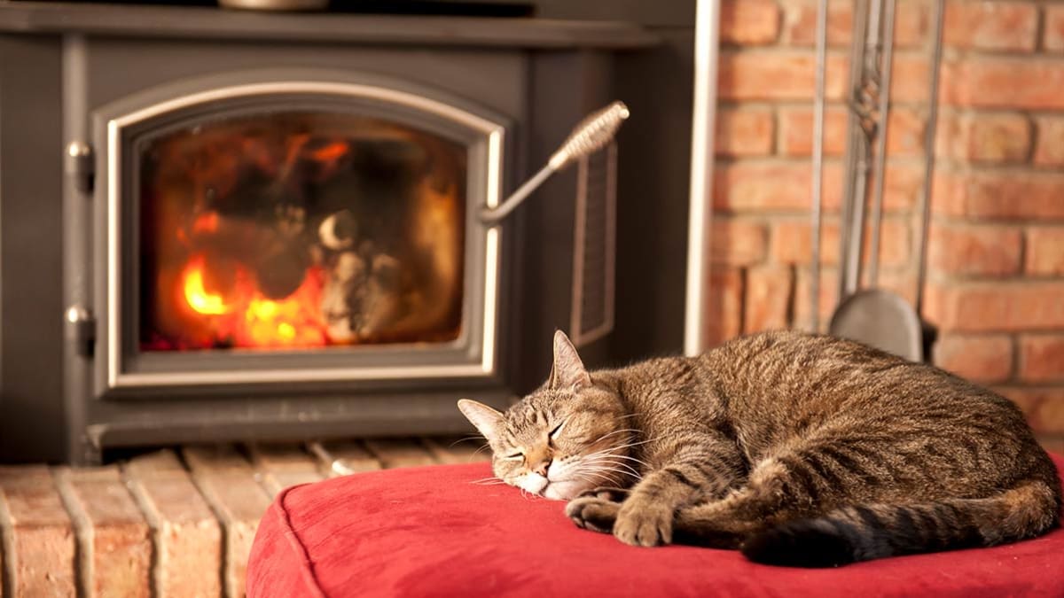Consumer Reports' Guide to Pellet and Wood Stoves Consumer Reports