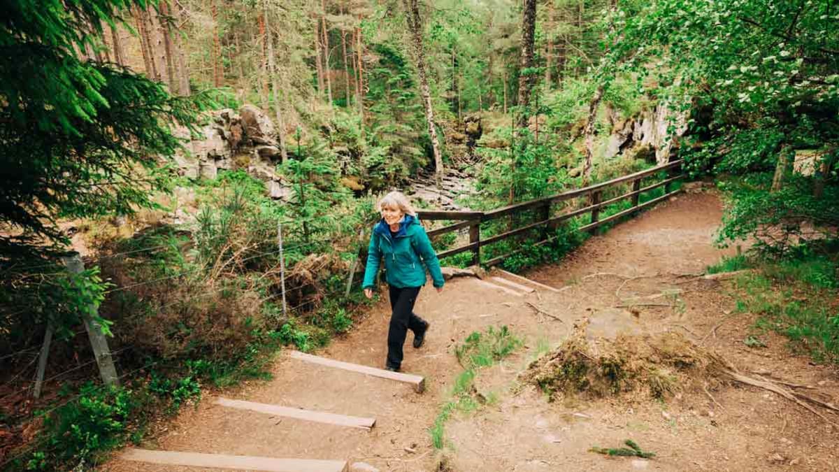 person walking on trail in woods