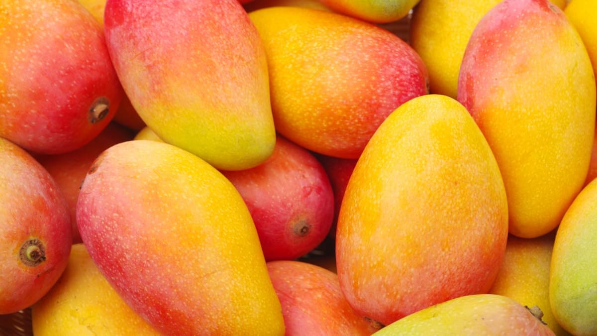 Are Mangoes Good for You? Consumer Reports