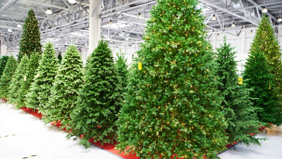 Fake Christmas trees in a store to purchase