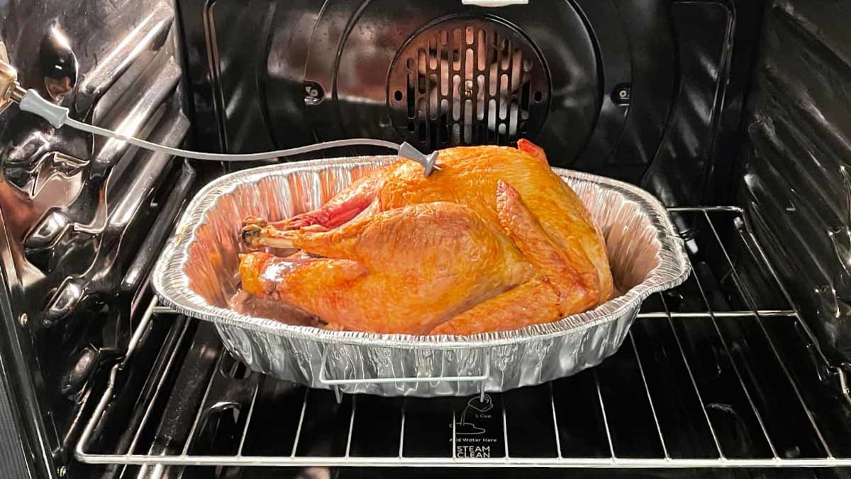 GE Smart Oven Turkey Setting Review SmartHQ App Consumer Reports