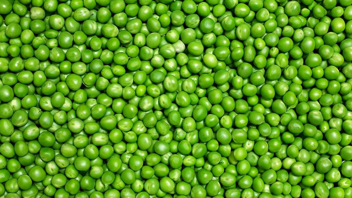 Green peas