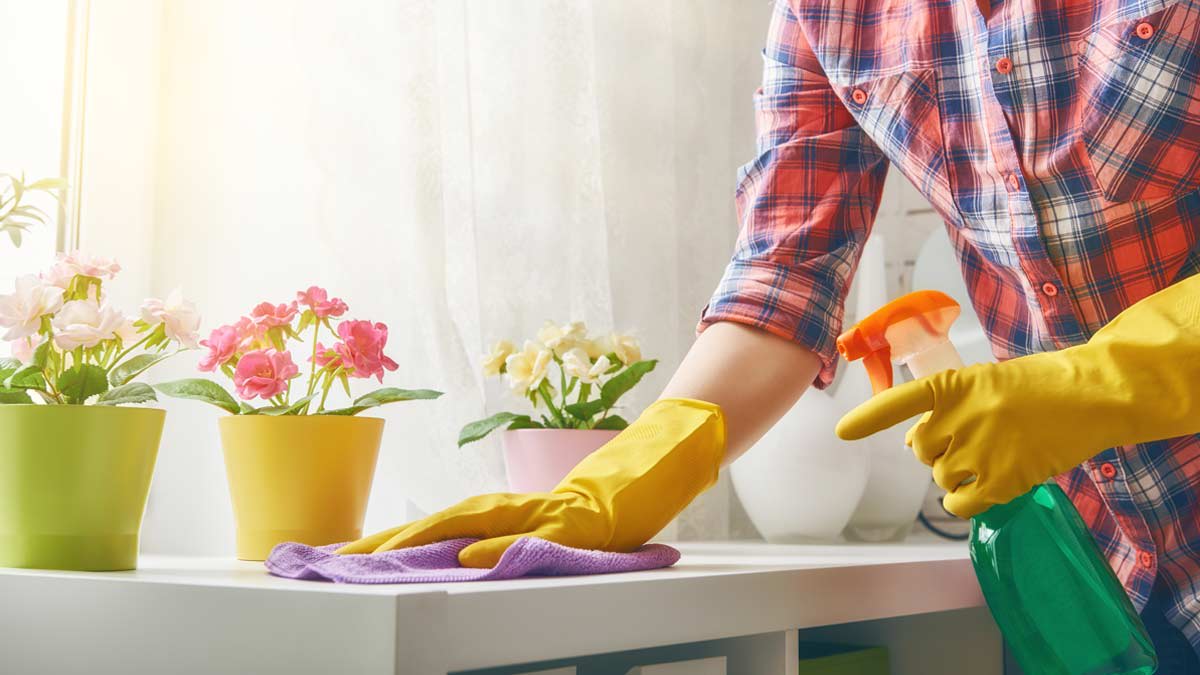 Spring Cleaning Guide Consumer Reports