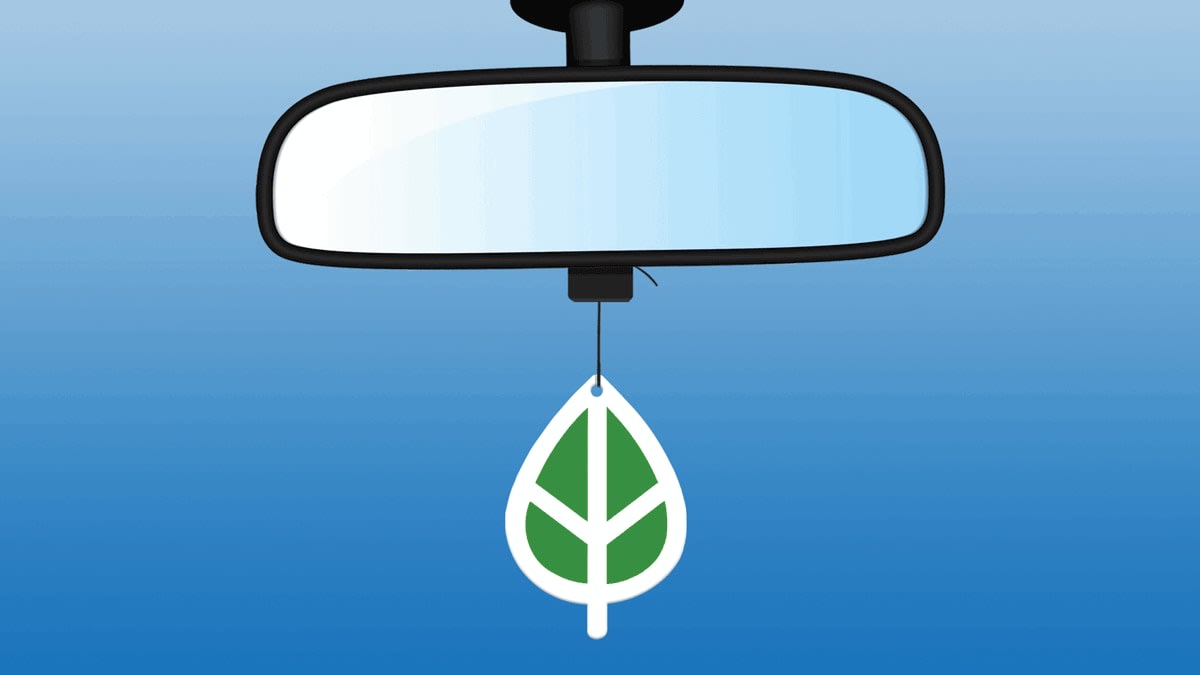 Car rearview mirror with green leaf hanging from it